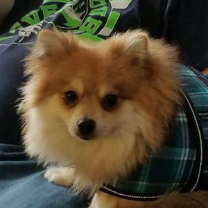 Meet your Posher, Vickie